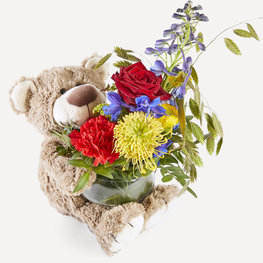 Beertje Wonderlijk Mooi Beertje Wonderlijk Mooi